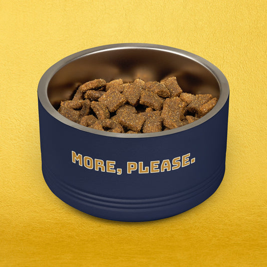 More, Please. Pet Food Bowl — 18oz Stainless Steel