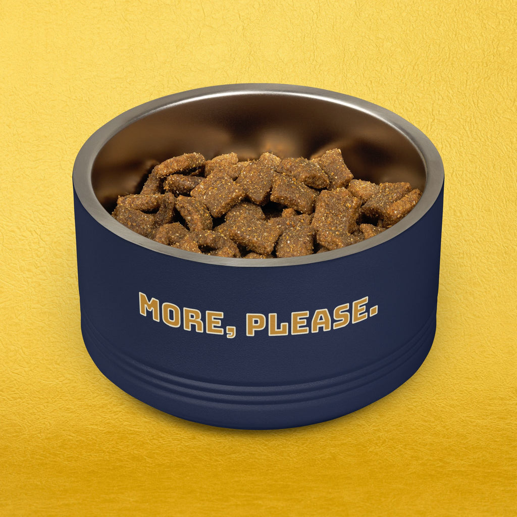 More, Please. Pet Food Bowl — 18oz Stainless Steel