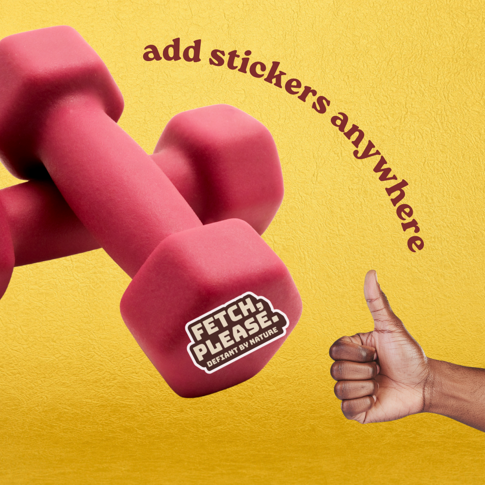Fetch, Please. Sticker