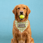 Tennis Ball Pet Bandana